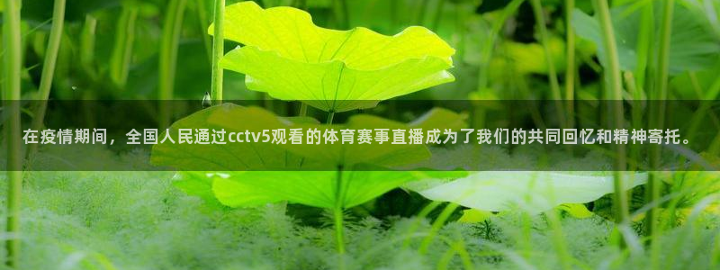 51视频在线直播nba：在疫情期间，全国人民通过cctv5观看的体育赛事直播成为了我们的共同回忆和精神寄托。