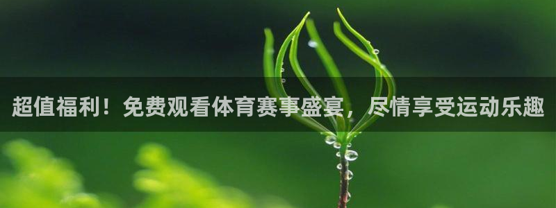 51视频在线直播nba：超值福利！免费观看体育赛事盛宴，尽情享受运动乐趣