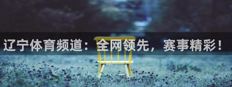 51视频在线直播nba：辽宁体育频道：全网领先，赛事精彩！
