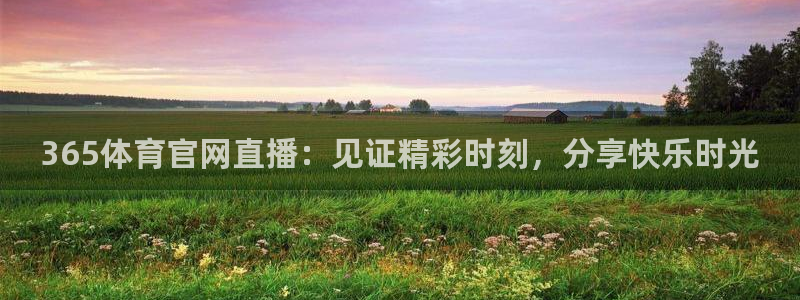 51视频在线直播nba：365体育官网直播：见证精彩时刻，分享快乐时光