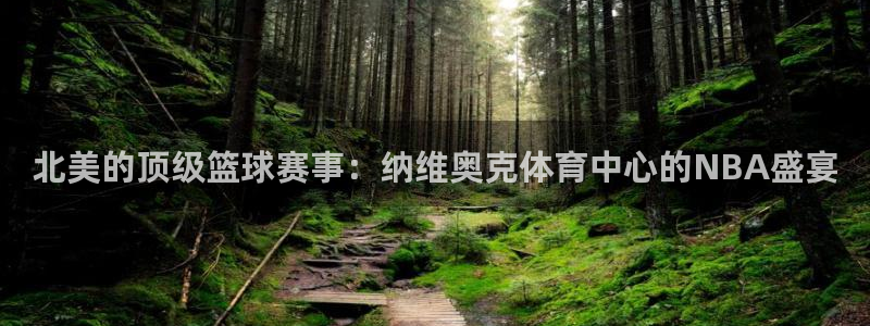 51视频在线直播nba：北美的顶级篮球赛事：纳维奥克体育中心的NBA盛宴