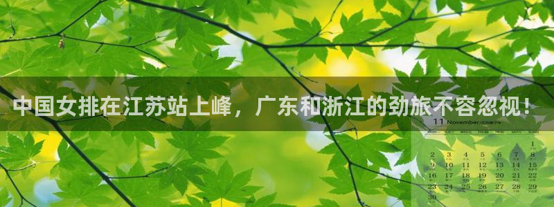 51视频在线直播nba：中国女排在江苏站上峰，广东和浙江的劲旅不容忽视！