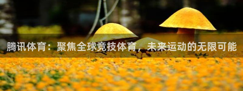 51视频在线直播nba：腾讯体育：聚焦全球竞技体育，未来运动的无限可能
