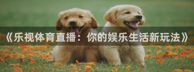 51视频在线直播nba：《乐视体育直播：你的娱乐生活新玩法》