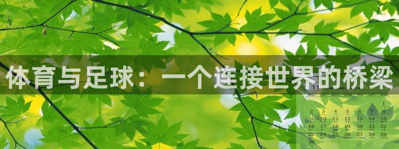 51视频在线直播nba：体育与足球：一个连接世界的桥梁