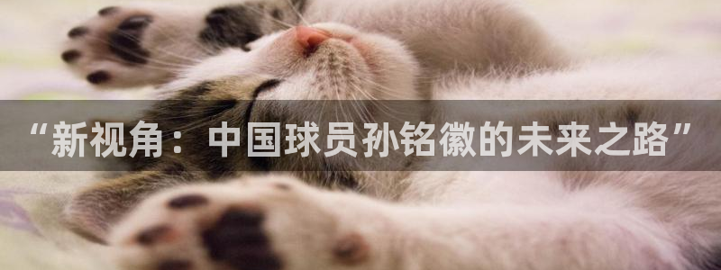 51视频在线直播nba：“新视角：中国球员孙铭徽的未来之路”