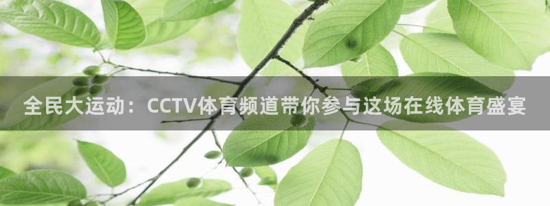 51视频在线直播nba：全民大运动：CCTV体育频道带你参与这场在线体育盛宴