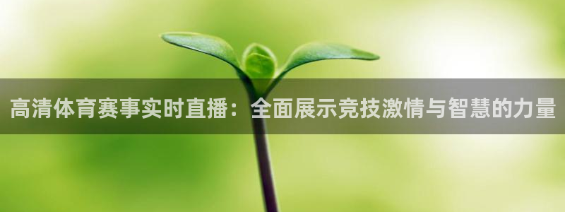 51视频在线直播nba：高清体育赛事实时直播：全面展示竞技激情与智慧的力量
