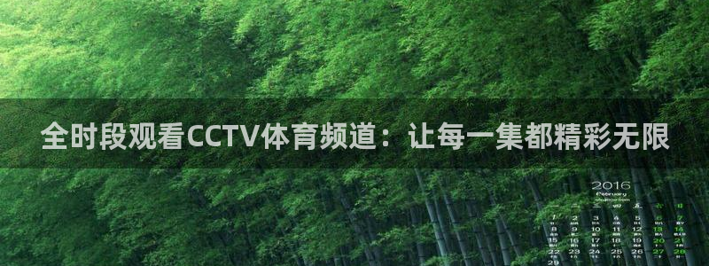 51视频在线直播nba：全时段观看CCTV体育频道：让每一集都精彩无限