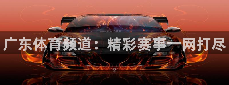 51视频在线直播nba：广东体育频道：精彩赛事一网打尽